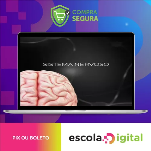 Fisiologia do Sistema Nervoso - Fisiologia Didática