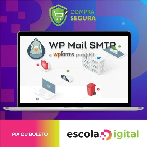 WP Mail SMTP PRO - v4.1.1 - Plugin