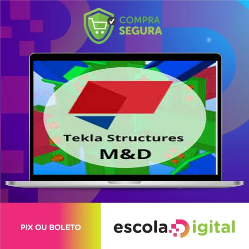 Curso Tekla Structures M&D - Fernando de Cesaro