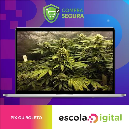 Cultivo Indoor de Plantas Medicinais - Jean Silva