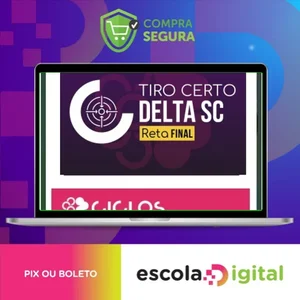 Delegado de Pernambuco - Reta Final - Tiro Certo - CICLOS
